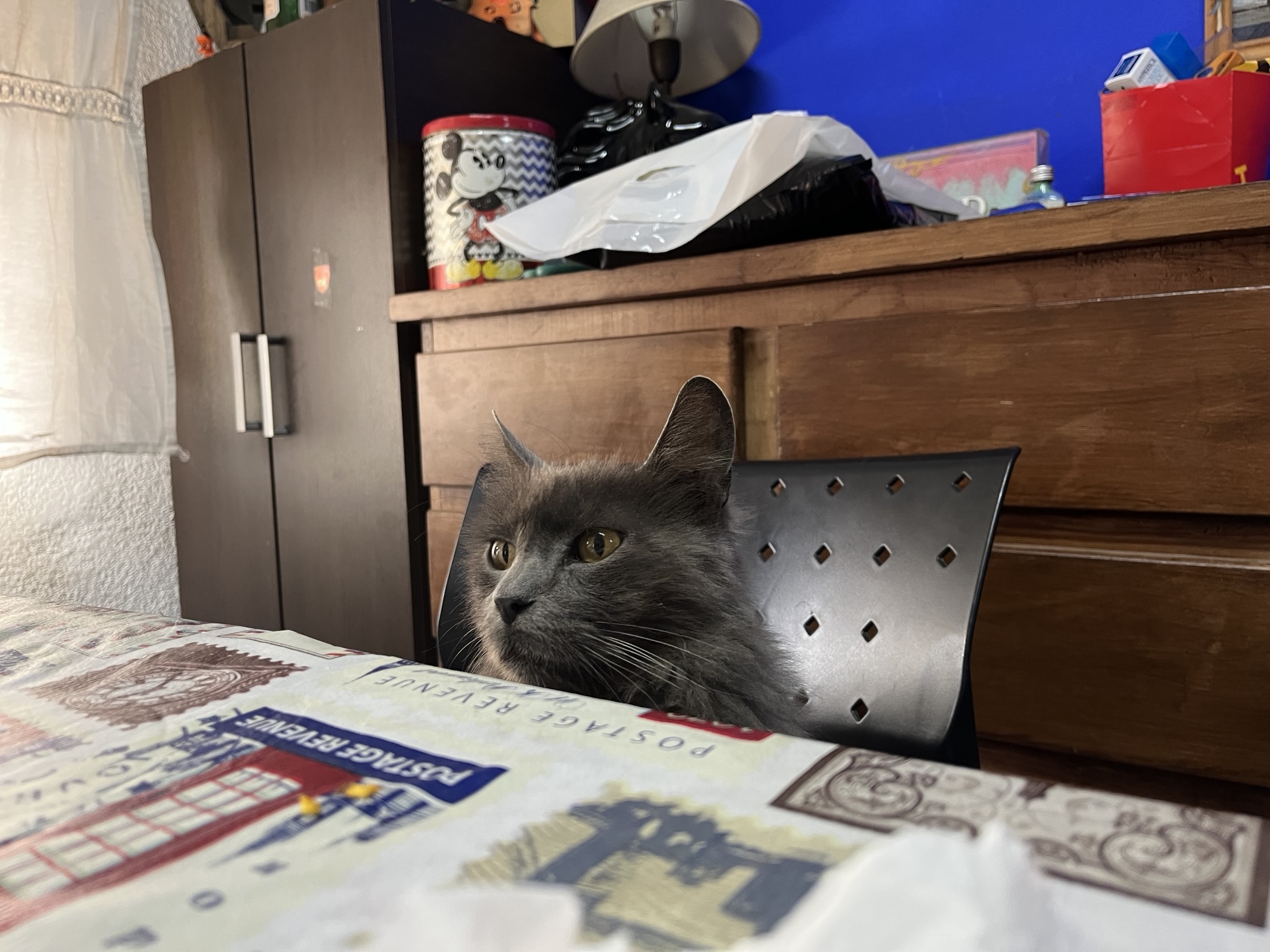 Sunday – Father’s Day